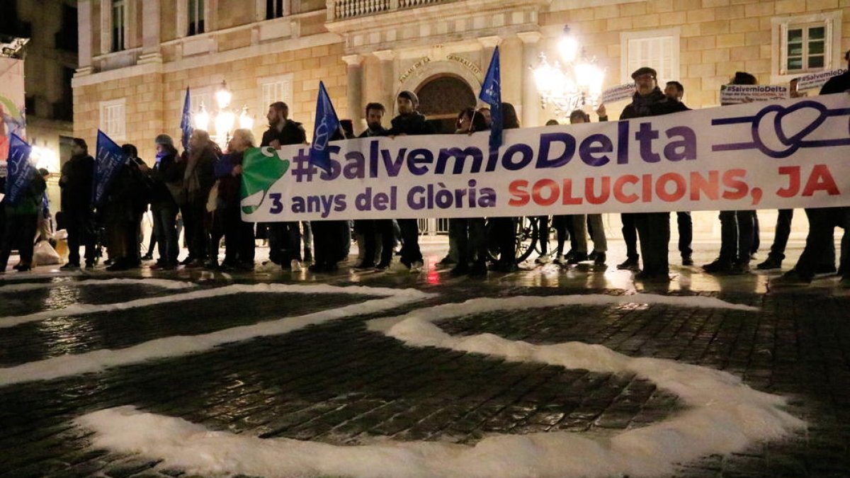 Dibuixen amb sal un SOS a Barcelona per exigir protecció al Delta de l'Ebre