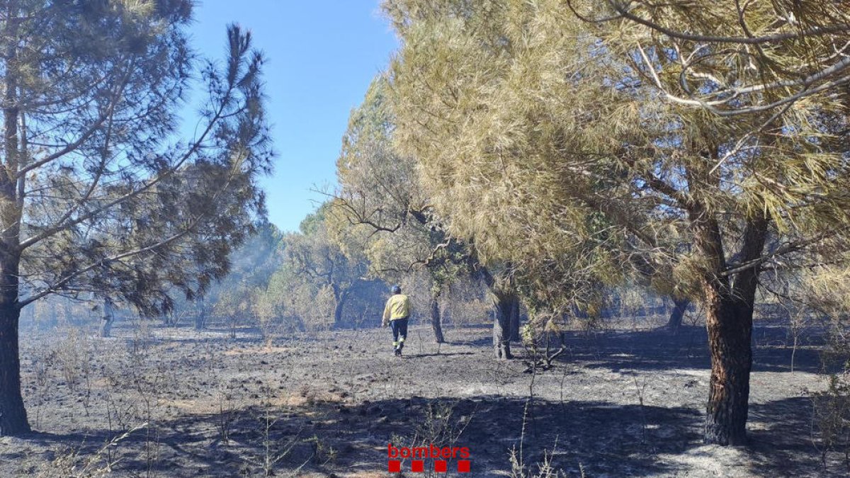 Incendio de vegetación cerca de la riera de la Abeurada de Reus