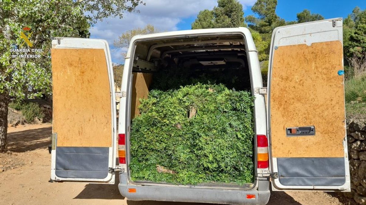 Pillan a cinco individuos con más de una tonelada de lentisco durante el incendio de Gandesa