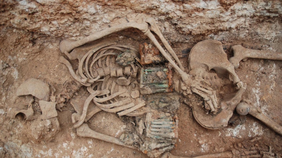 Exhumen sis soldats de la Guerra Civil enterrats a la fossa del cementiri de Masdenverge