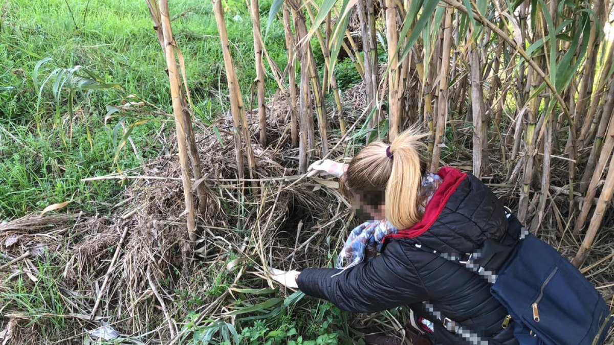 Detenidos por robar 8.000 euros a un anciano mientras estaba con sus nietos en el Parc de la Ciutat
