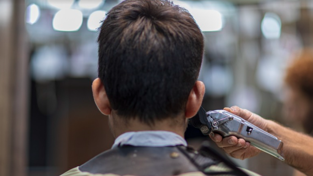 Alerten del brot de tinya detectat en perruqueries de tot el país