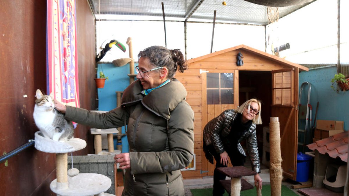 Salou obre un centre de recuperació per a les colònies de gats ferals esterilitzats