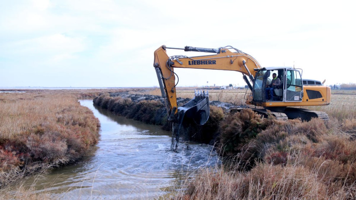 Reforcen les guardes de les llacunes del Delta per evitar l'entrada d'aigua marina als arrossars