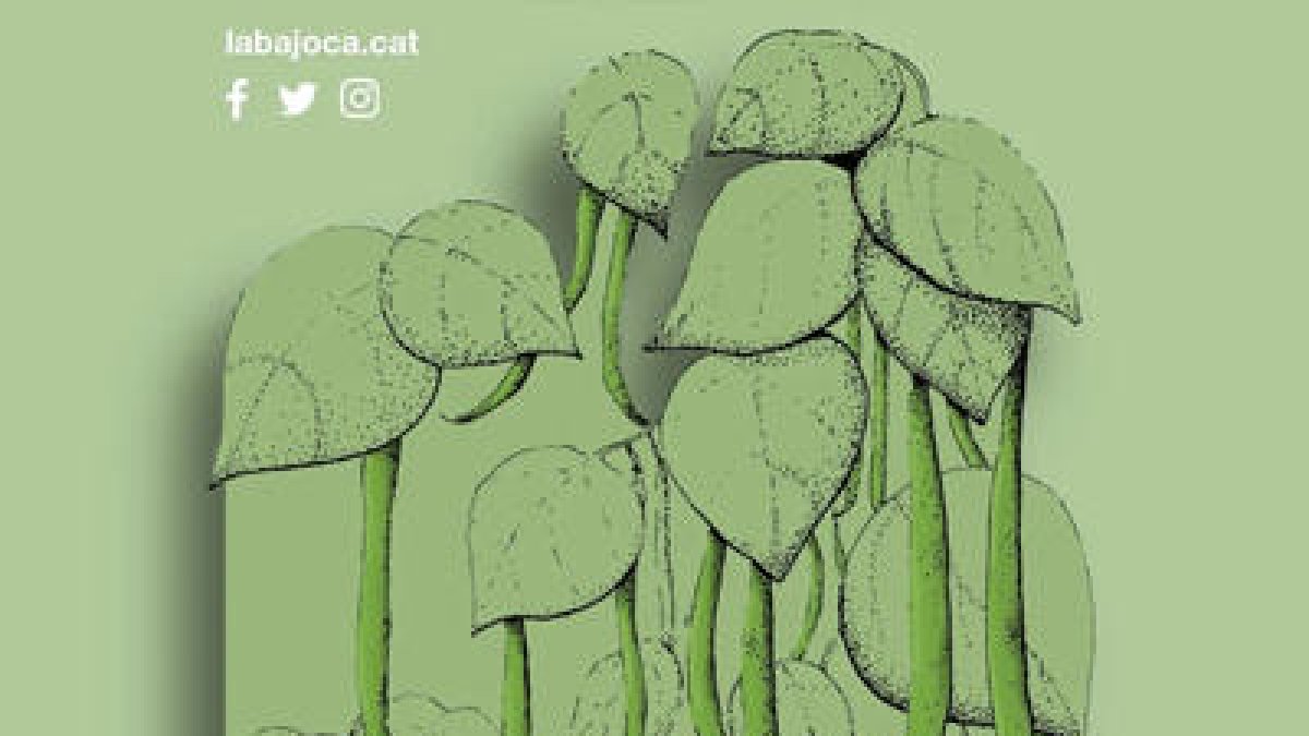 Tots els actes de la VIII Ecofira del Camp de Tarragona/ III Fira de Roba Sostenible 2023