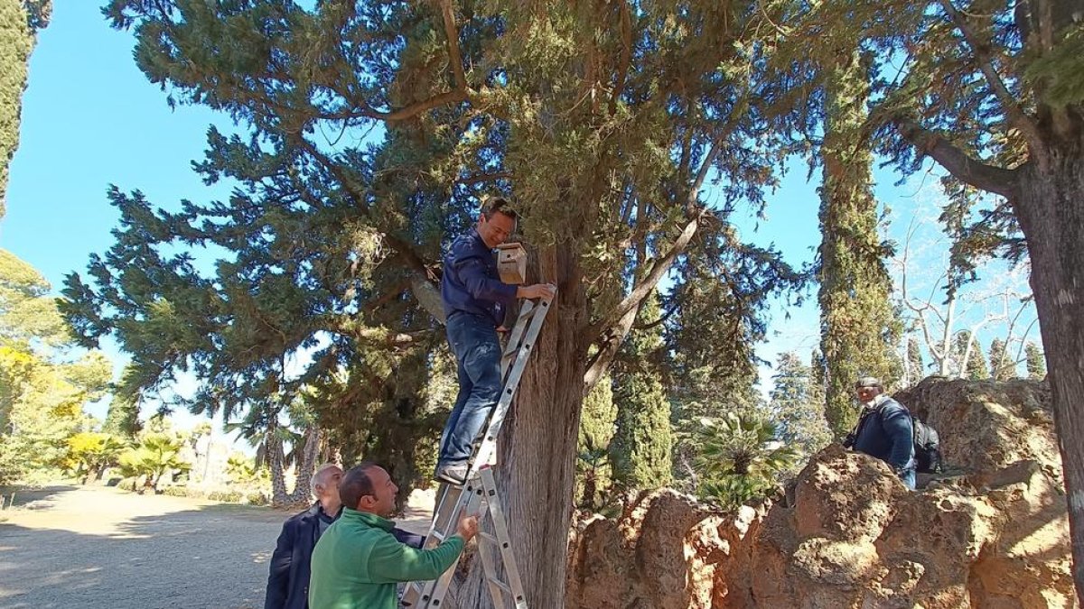 El Parc Samà de Cambrils apuesta por la biodiversidad y la conservación de su espacio natural