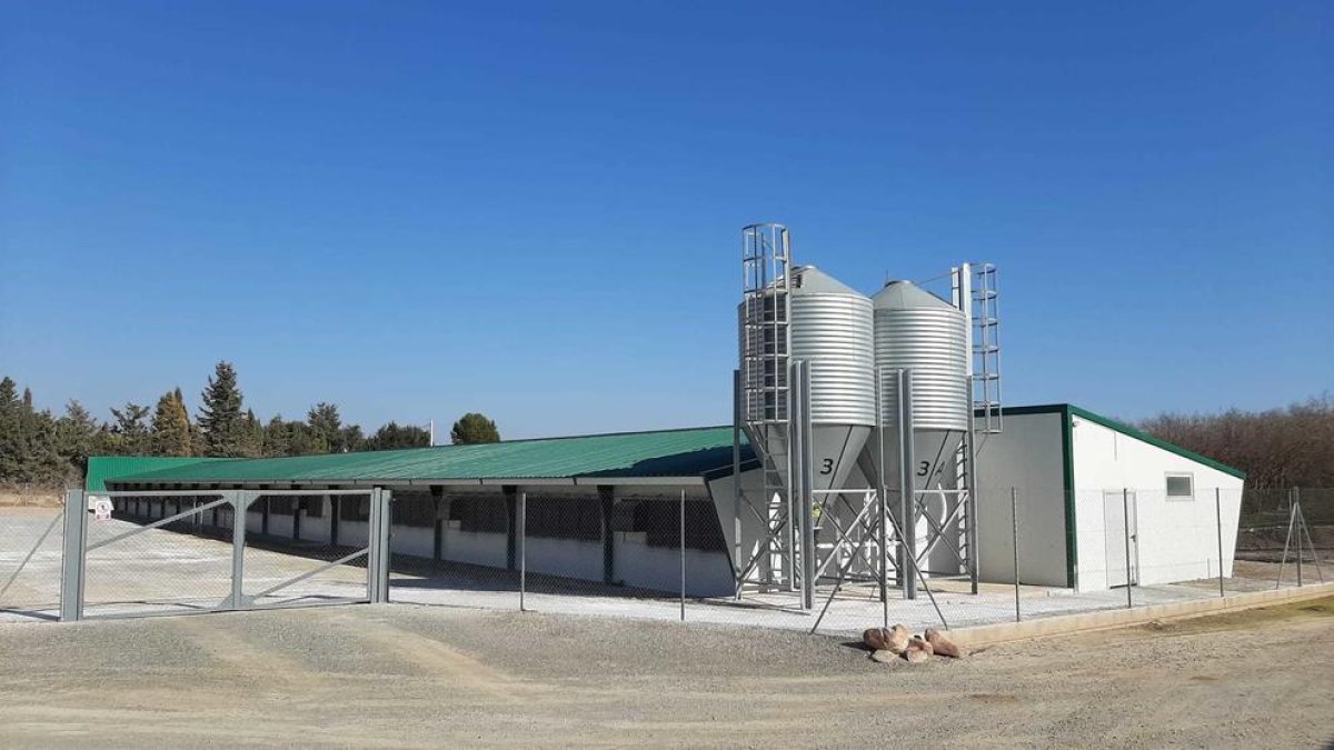 Les granges de Reus reforcen els protocols per evitar el contagi de la grip aviària