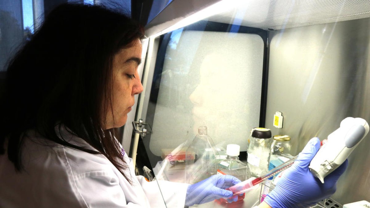 Eurecat crearà models de predicció de bioeficiència alimentària que reduiran el temps de recerca