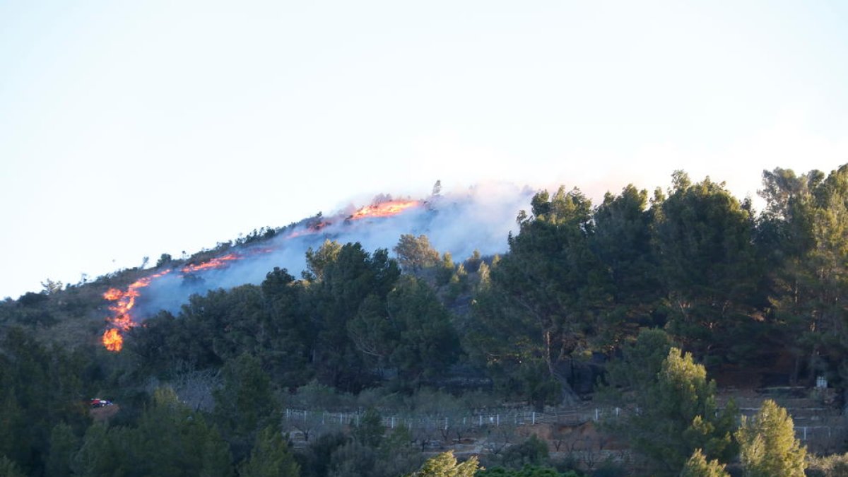 Un incendio de vegetación crema entre la Selva del Camp y Vilaplana