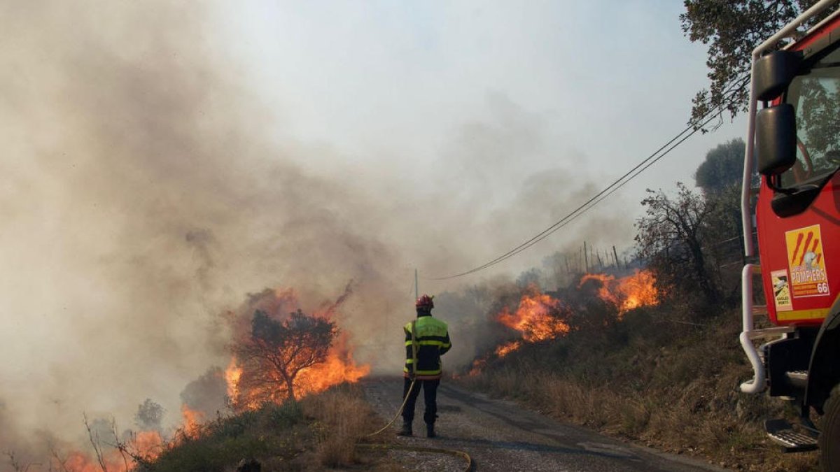 L'incendi del Rosselló ja arriba fins a Portbou i afecta més de 650 hectàrees