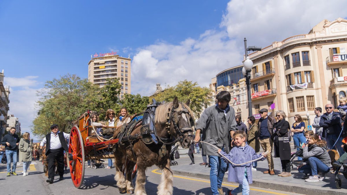 Els cavalls tornen a captivar infants i adults durant els Tres Tombs a Tarragona
