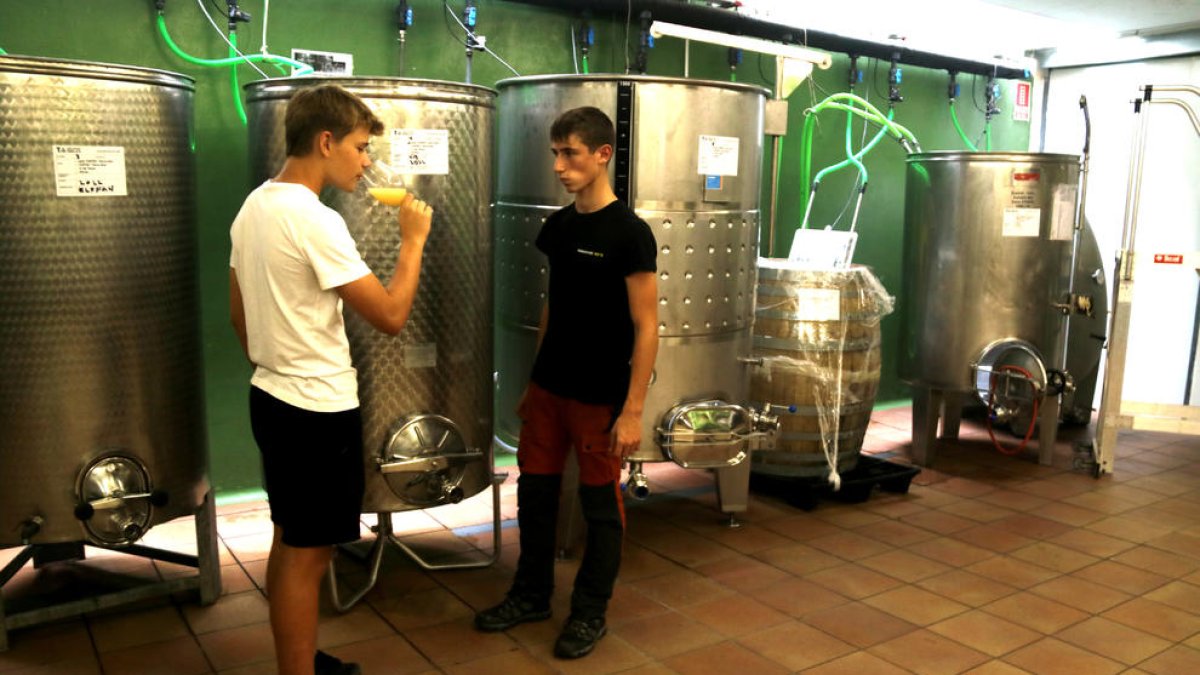 La Terra Alta reclama nuevos ciclos de formación vinculados con la realidad de la comarca