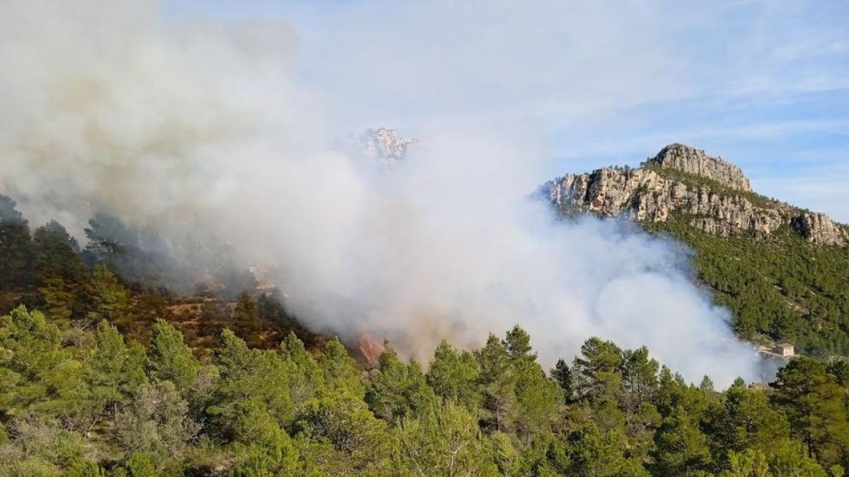 21 dotacions dels Bombers treballen per apagar un incendi de vegetació entre Xerta i Paüls