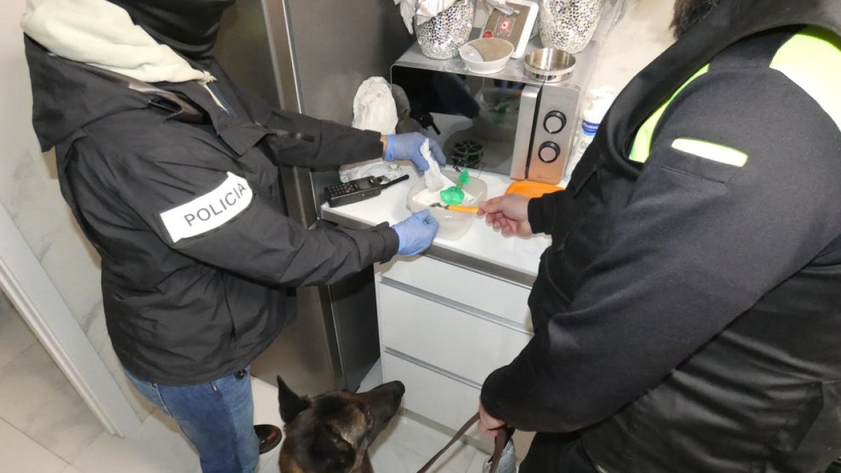 Desmantelan un punto de venta de drogas al detalle en Campclar