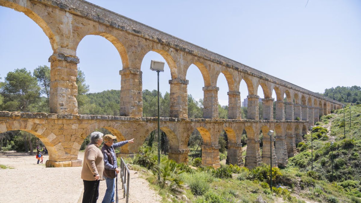 El cultiu de vinya tornarà a ocupar els terrenys pròxims al Pont del Diable