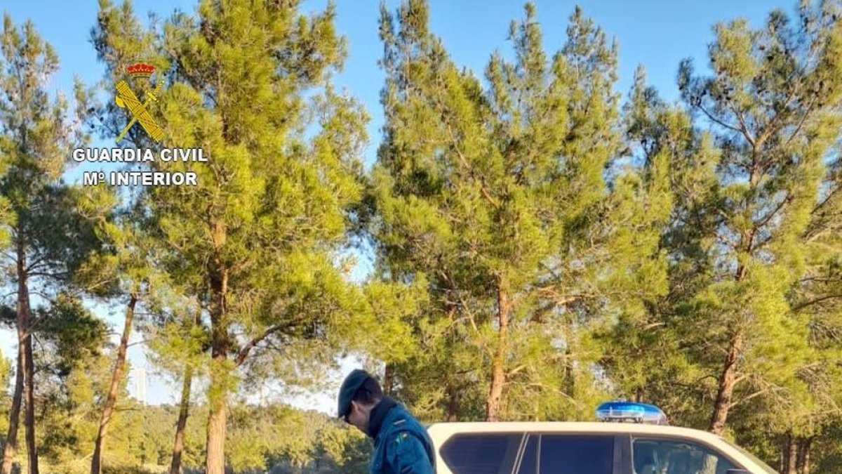 Descubren un vertedero con más de dos toneladas de restos de uralita con amianto en el Perelló