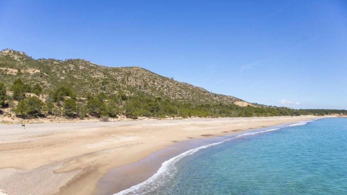 Quatre platges i una cala de Vandellòs, reconegudes amb la Bandera Ecoplayas