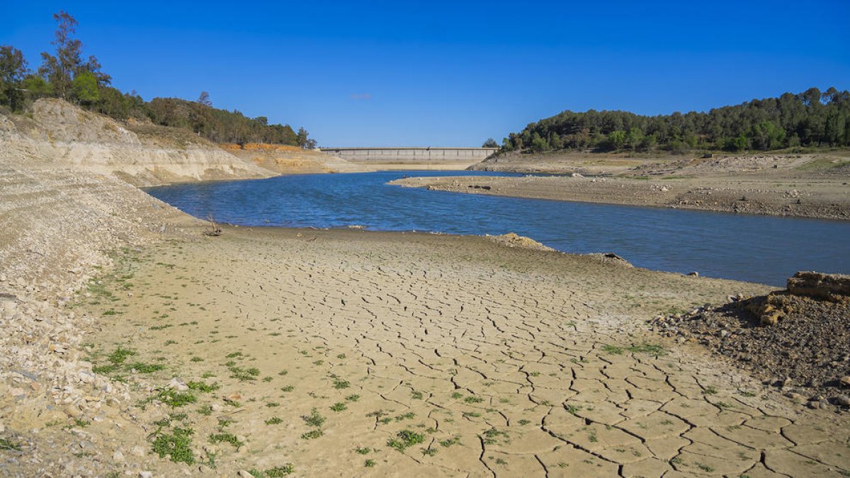 La Comunitat de Regants del Pantà de Riudecanyes demanarà la declaració de zona catastròfica