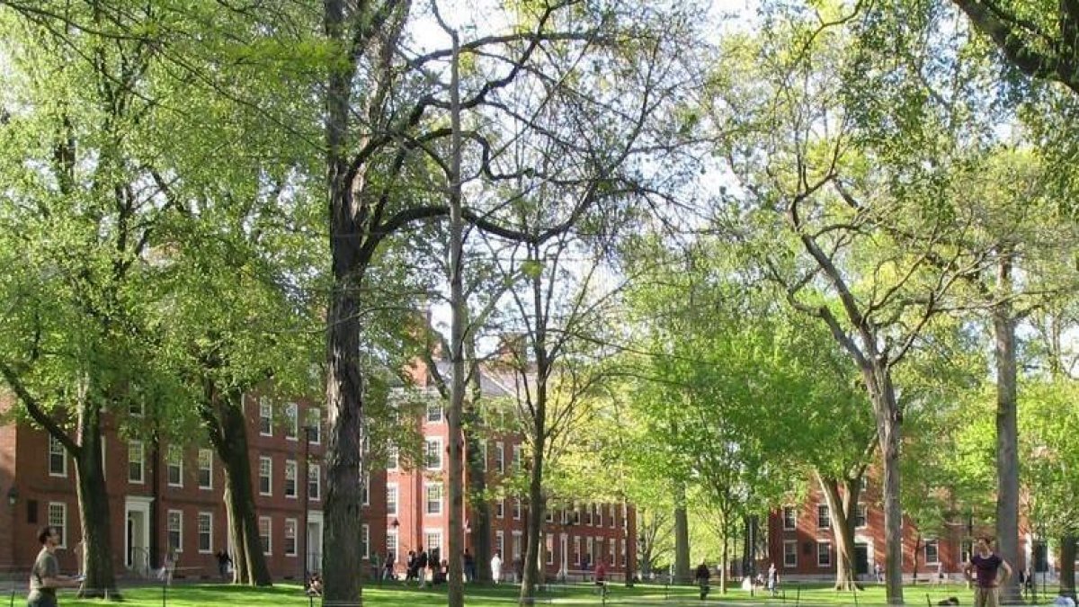 El alimento que recomienda Hardvard para mejorar tu salud