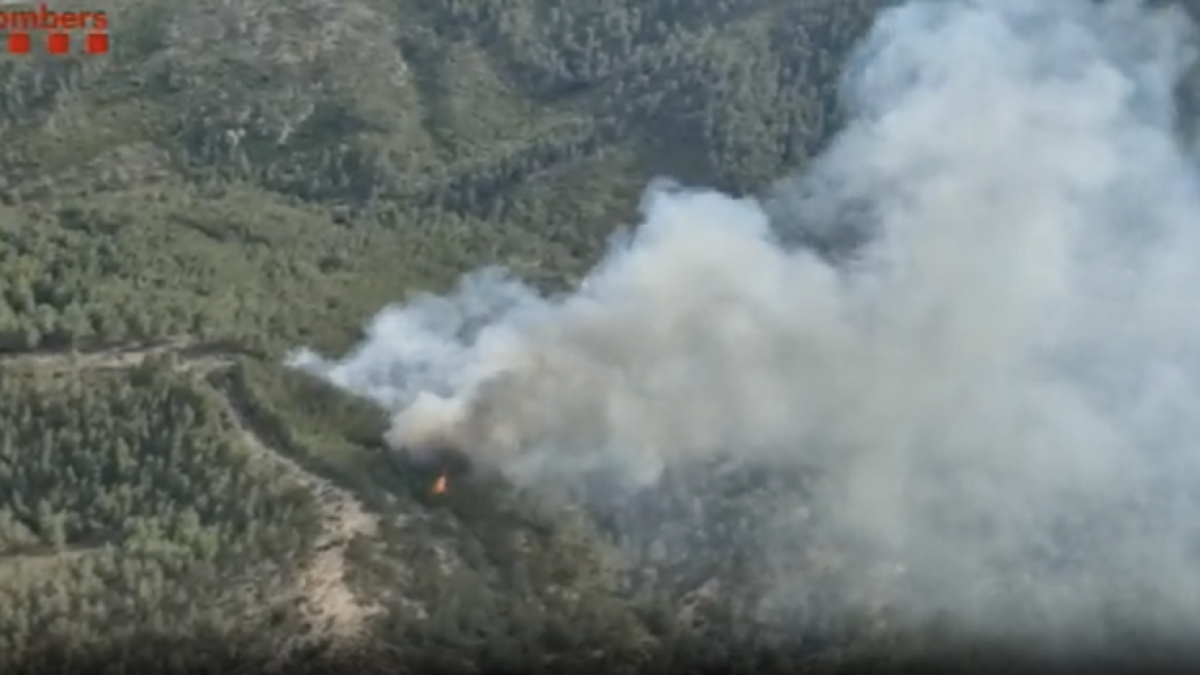 Diecinueve dotaciones de los Bomberos trabajan en un incendio en Vandellòs i l'Hospitalet de l'Infant