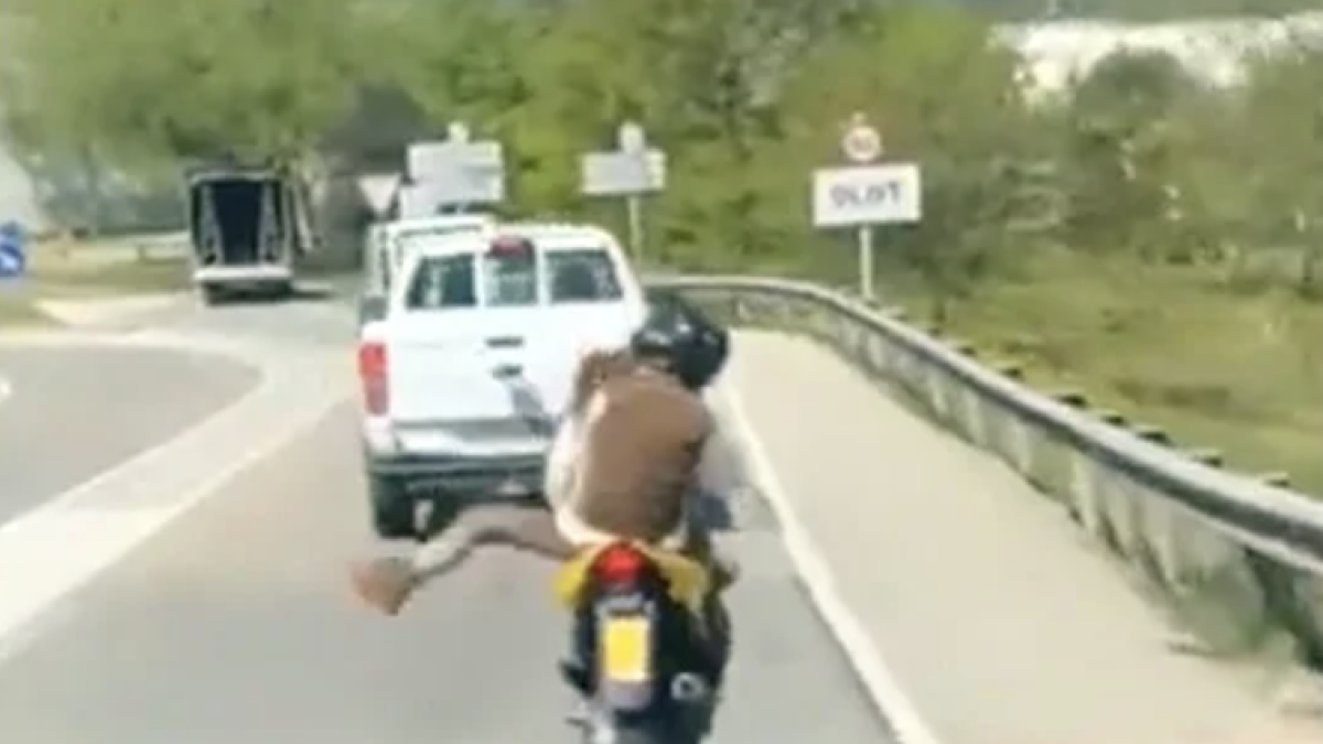 Olot: Enxampen la conductora d'un ciclomotor ballant mentre conduïa a l'N-260