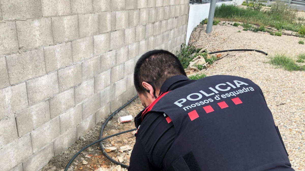 Denuncien una empresa d'Alcanar per abocar aigües brutes a la xarxa de clavegueram