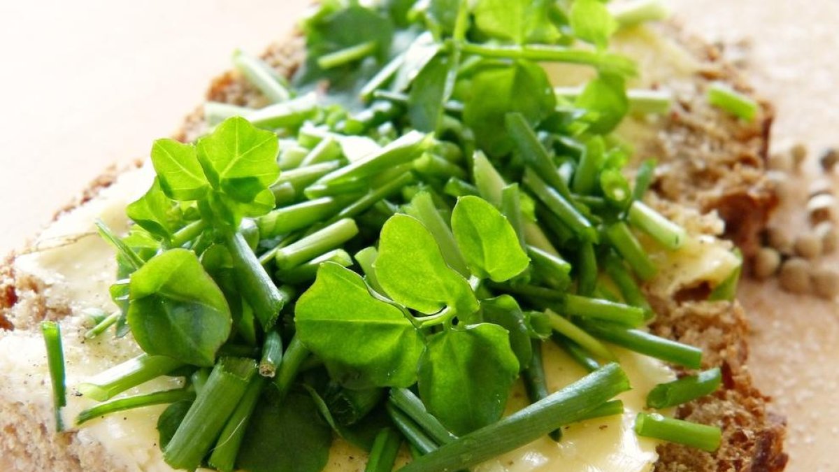 Este es el alimento «más sano del mundo», según la ciencia, que casi no se come en España