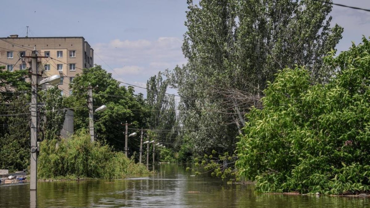 Miles de evacuados y animales muertos por la ruptura de la presa de Kajovka