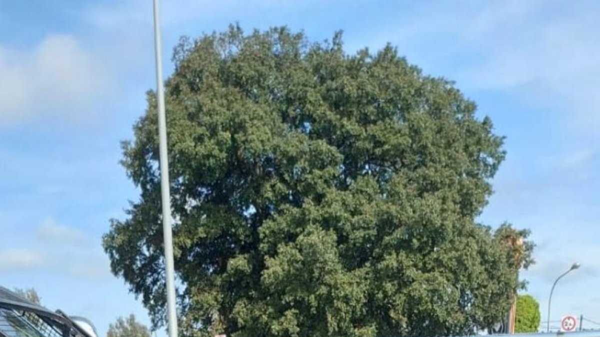 Un hombre huye de la policía con un Maserati y acaba estampándose contra una furgoneta de los Mossos en la AP-7