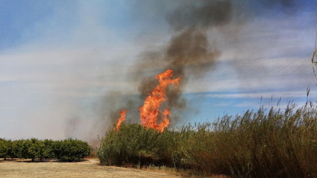 Un incendio de cañas se propaga con rapidez en Aldover
