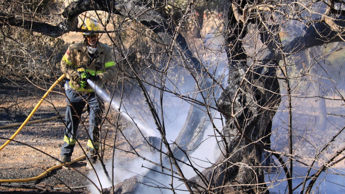 Los Bomberos siguen apagando los focos activos del incendio del Perelló que está estabilizado