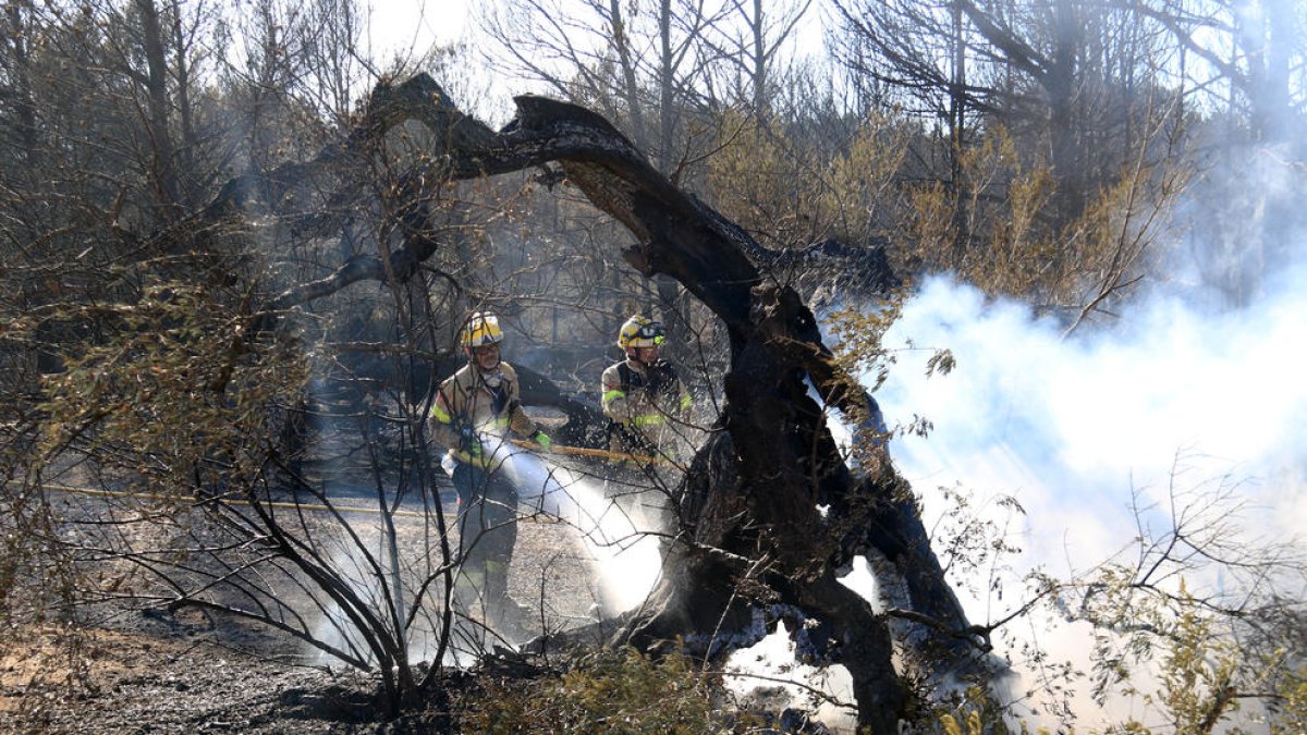 Los Bombers siguen remojando la zona incendiada del Perelló
