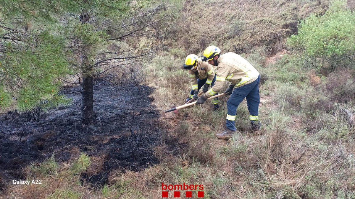 Petit incendi forestal a Ulldemolins