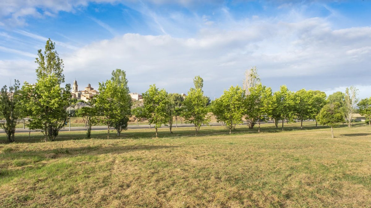El Ayuntamiento de Constantí realiza trabajos de limpieza y conservación de terrenos y solares urbanos