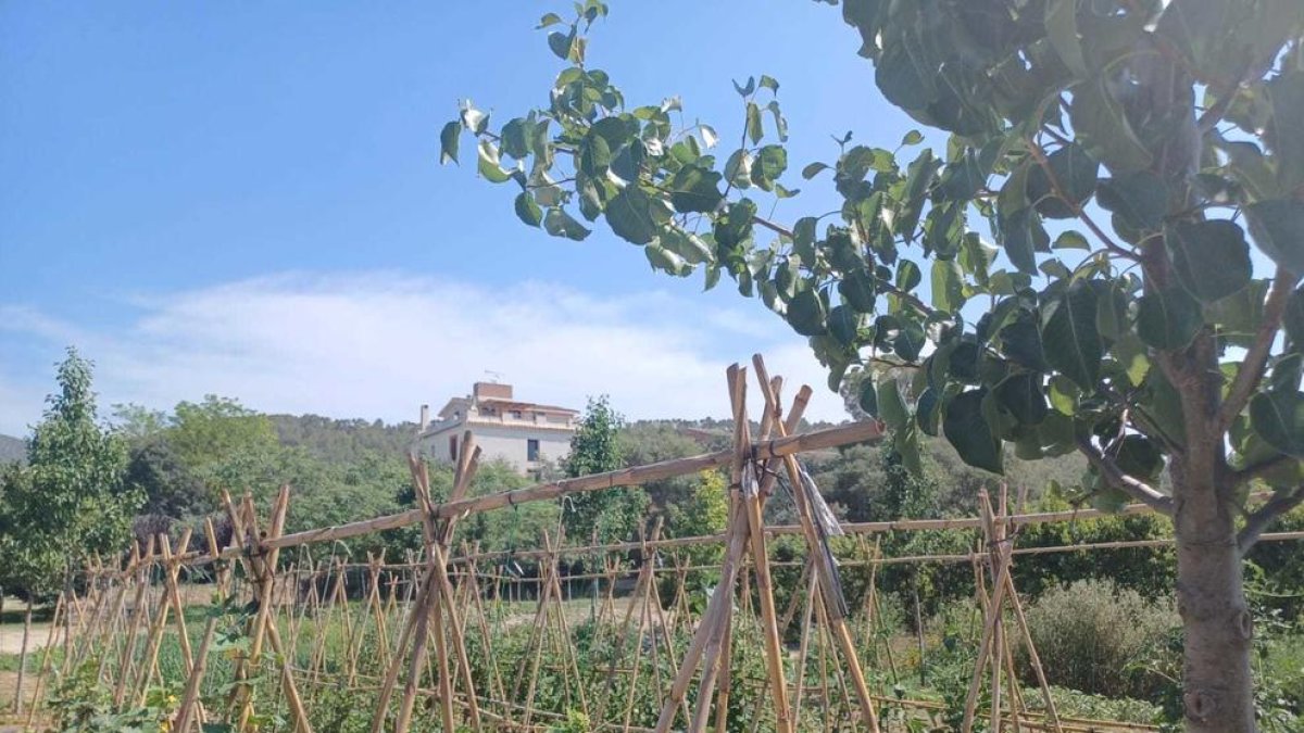 BBVA premia una empresa de Tivissa como mejor productor sostenible de España