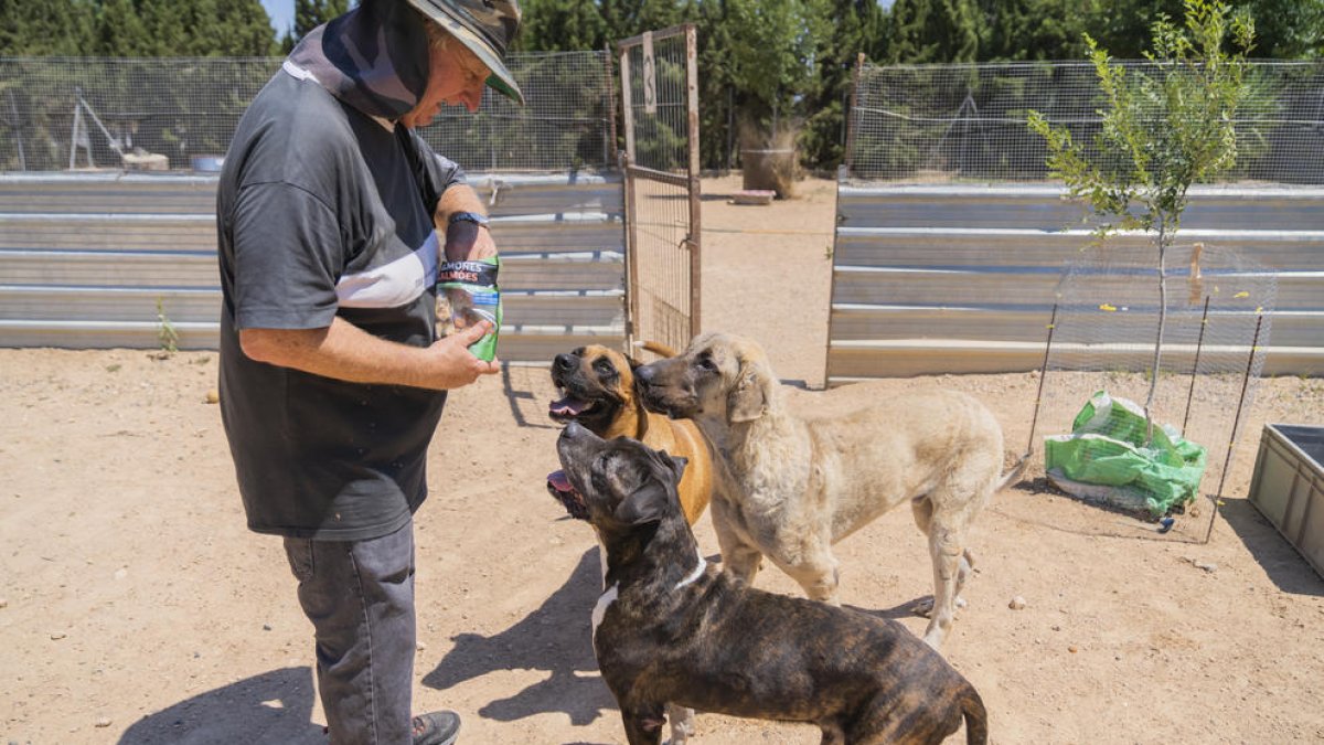 Les adopcions de mascotes cauen a Reus perquè hi ha menys abandonaments