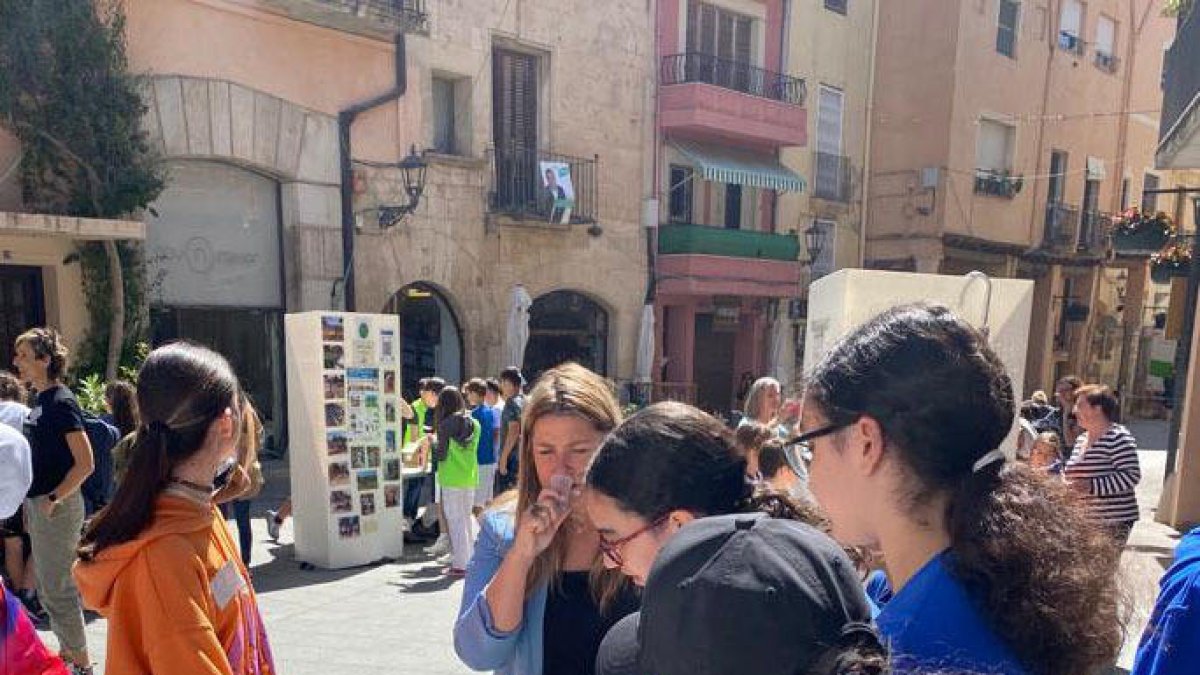 Escoles i instituts de Cambrils exposen accions de millora pels seus espais verds apadrinats