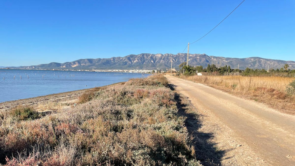La tercera fase del proyecto de la guarda de protección de los Alfacs, a licitación