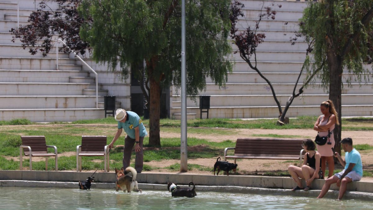 Protecció Civil activa en alerta el pla PROCICAT per calor molt intensa a partir de dimarts