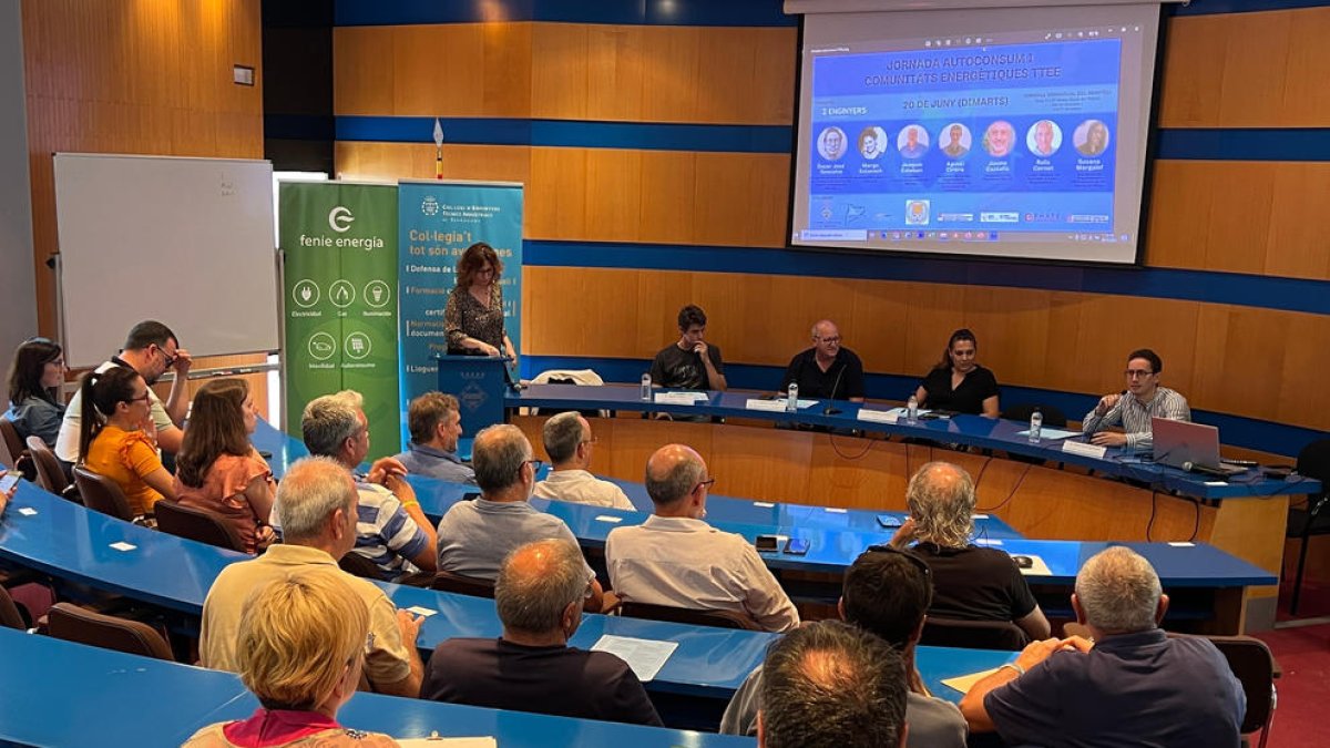 Els enginyers avisen que la saturació de la xarxa al Baix Ebre i el Montsià dificulta grans projectes de renovables