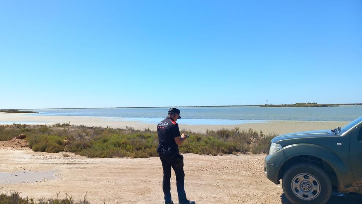 Mossos y Agents Rurals controlan el acceso a la playa del Trabucador