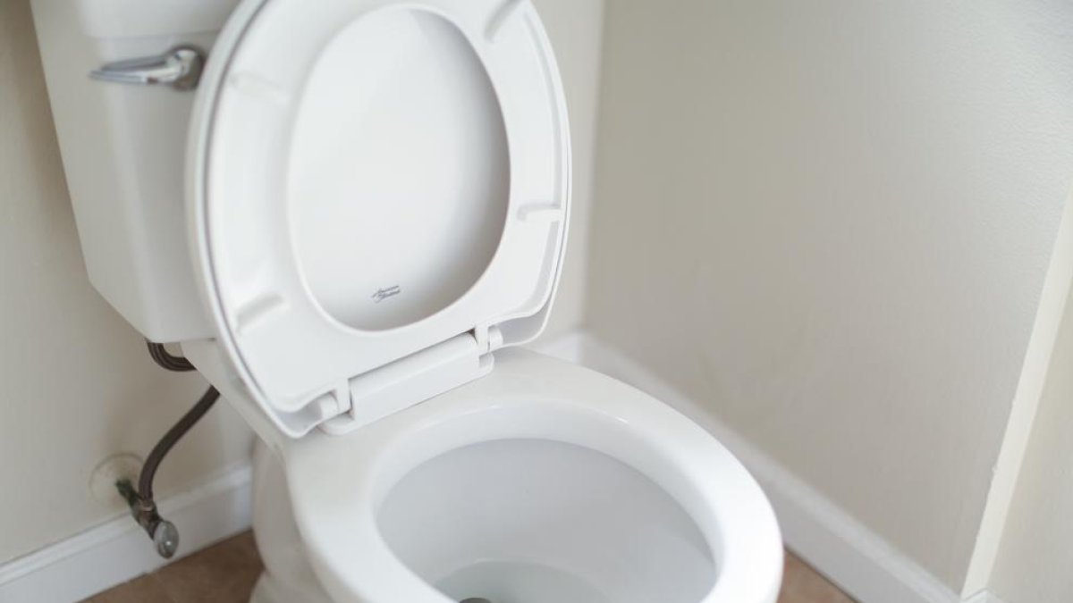 Cuántas veces al día es normal ir al baño y cuándo hay que empezar a preocuparse