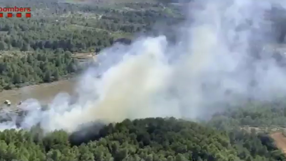 Els Bombers donen per controlat l'incendi del Perelló