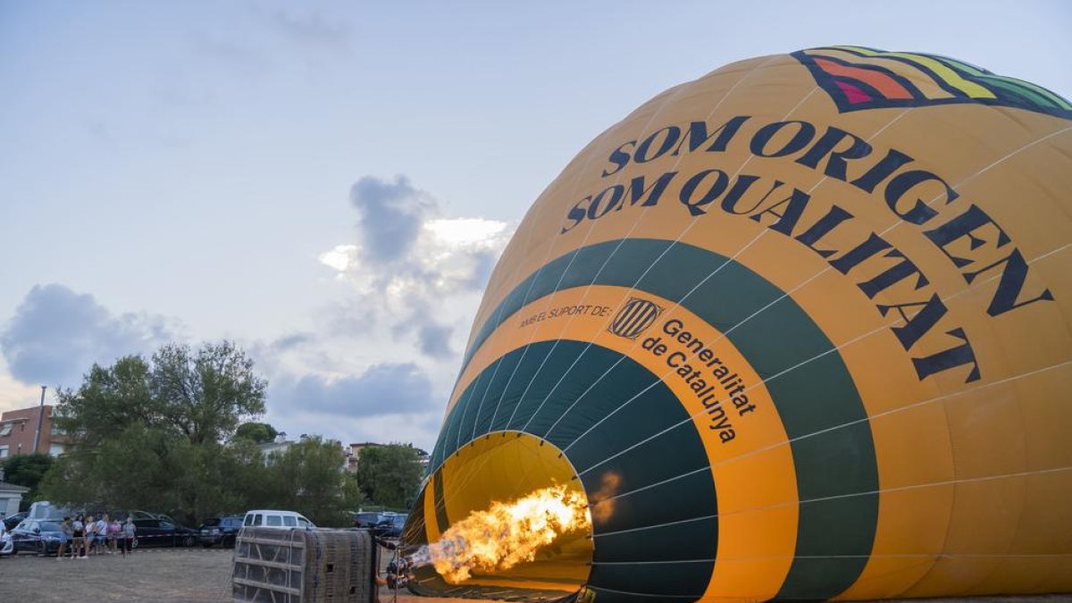 Lydia Castro, guanyadora de la cursa de portadors de sacs d'avellanes