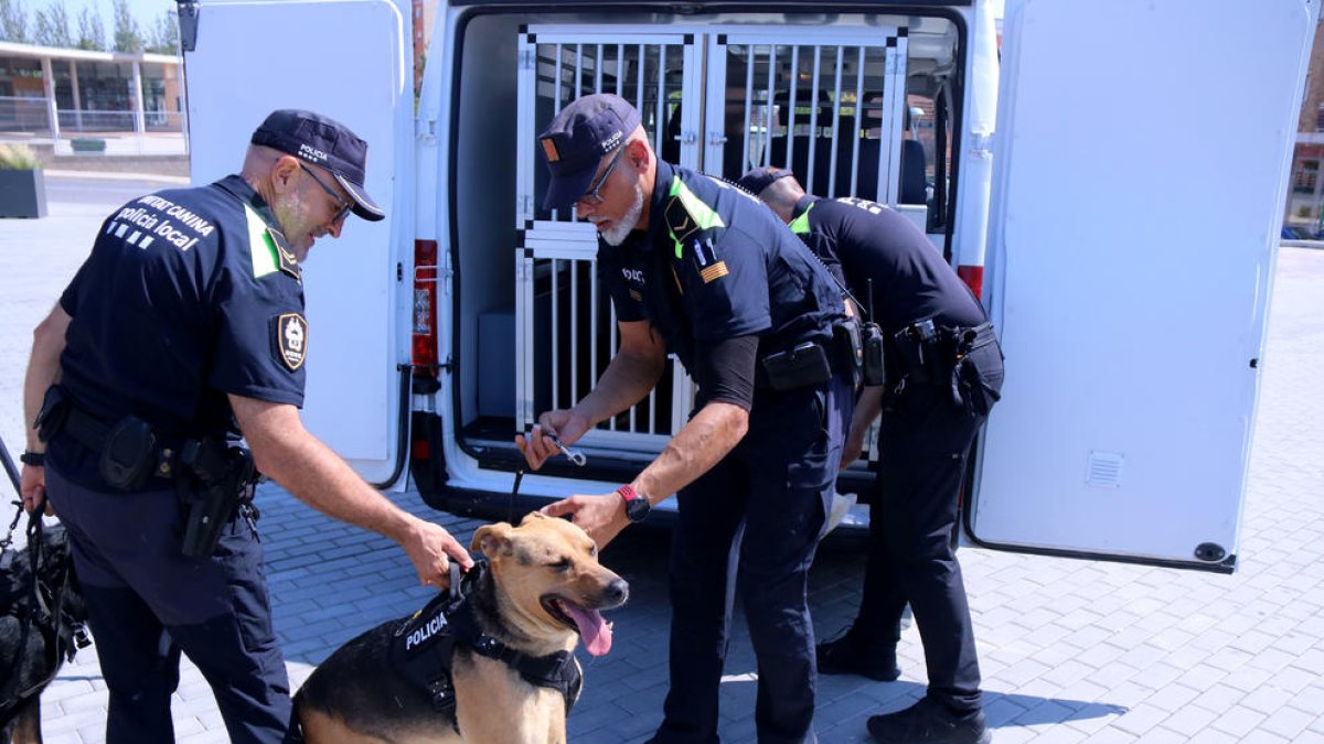 Alumnos del instituto Montsià adecuan un vehículo en desuso para la policía local de Amposta