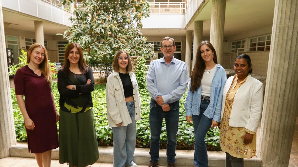 Las alternativas vegetales a los productos procesados de origen animal no siempre son saludables