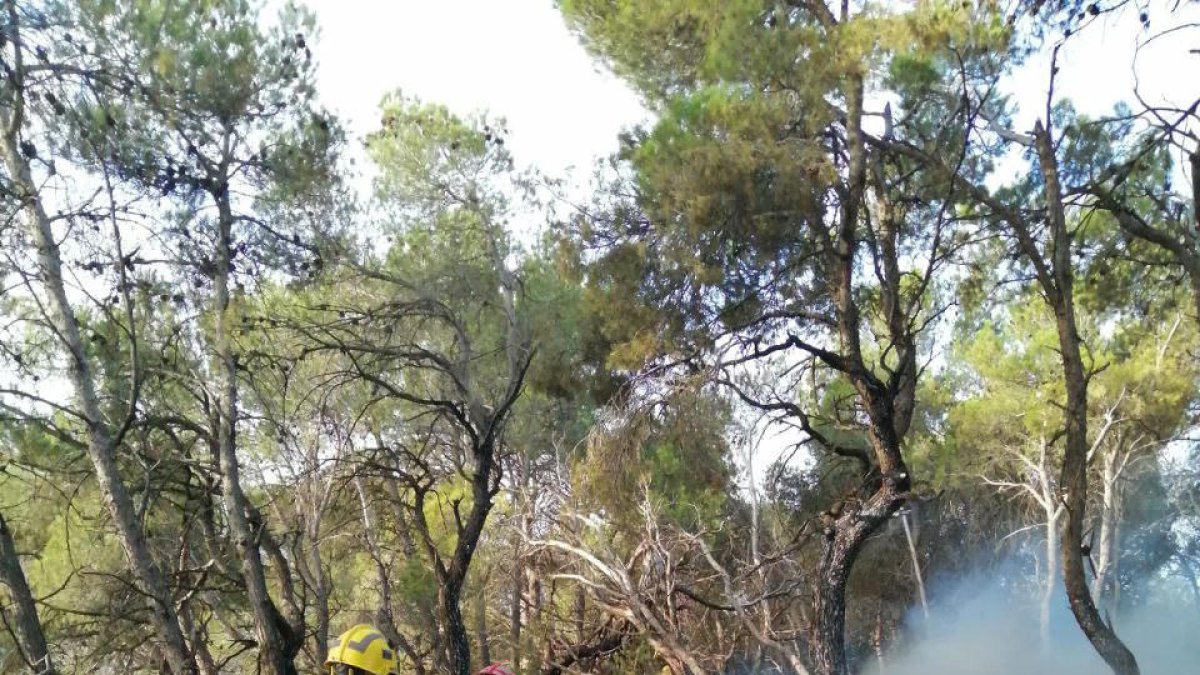 Els Bombers treballen en dues columnes de fum a Solivella i el Sarral