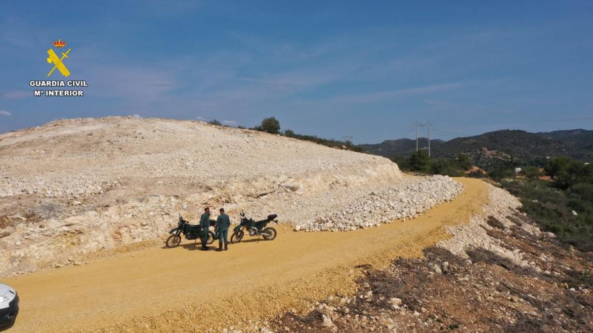 Denuncien una empresa per eliminar sense control margalló d'un terreny de Tortosa