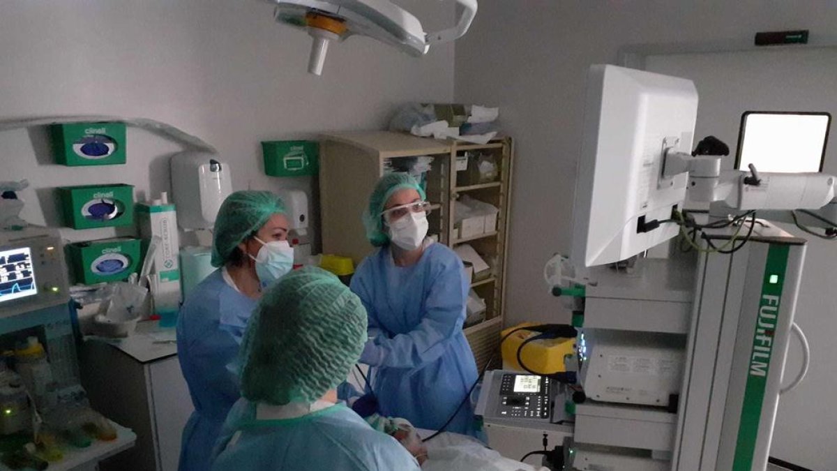 El Servei de Pneumologia de l'Hospital Joan XXIII arriba a les 200 ecografies endobronquials