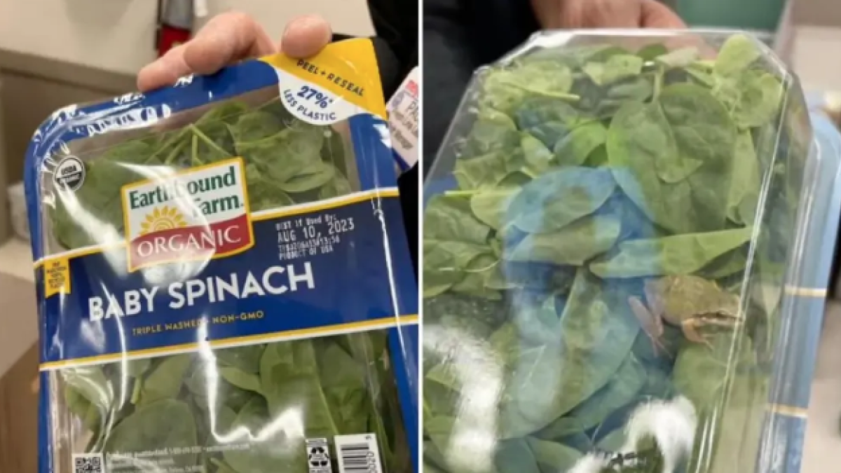 Una dona de Michigan es troba una granota viva en una bossa d'espinacs